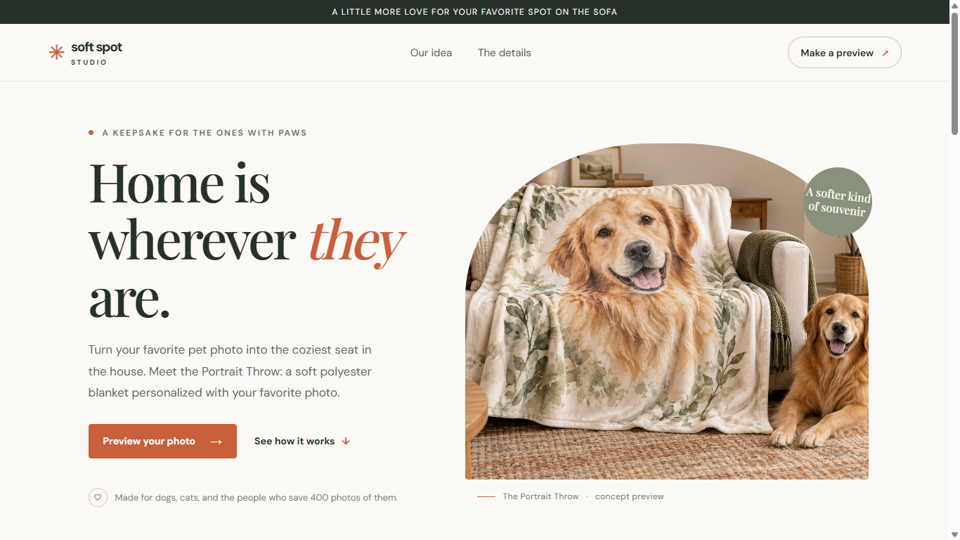 Soft Spot Studio homepage screenshot